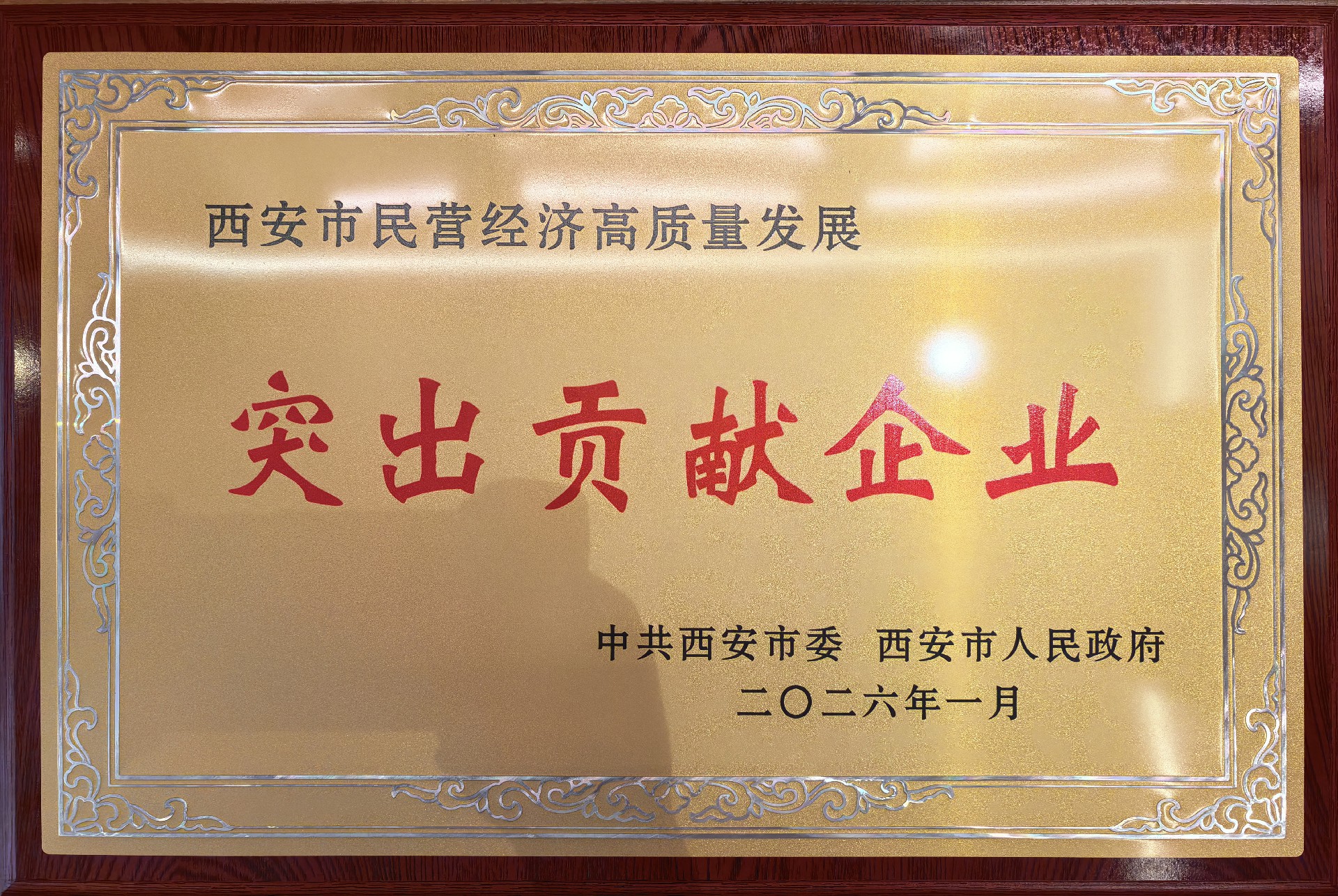 1771897317100388.jpg 1771897317100388.jpg